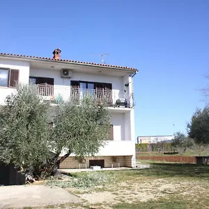 Buici Kadumi
